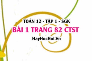 Bài 1 trang 82 Toán 12 tập 1 Chân trời sáng tạo